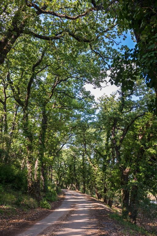 Ollières Les Terres De Saint Hilaire Bed & Breakfast エクステリア 写真