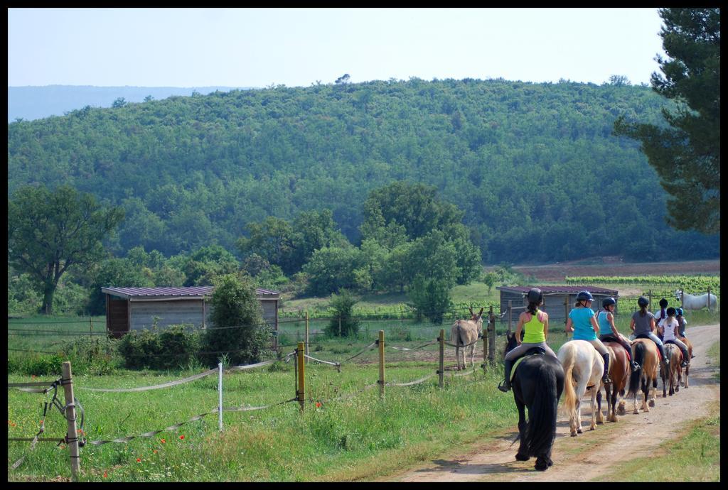 Ollières Les Terres De Saint Hilaire Bed & Breakfast エクステリア 写真